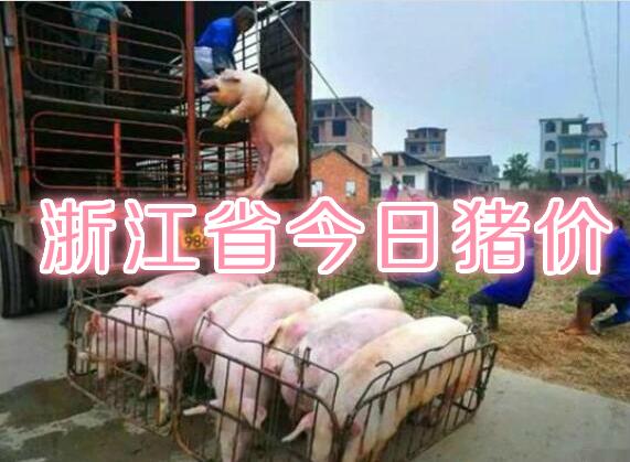猪肉价格今日价2019宁波，猪肉价格今日价2022.10.26