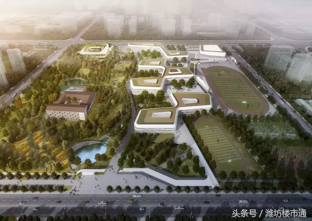 潍坊两区教育大PK 你站哪边？