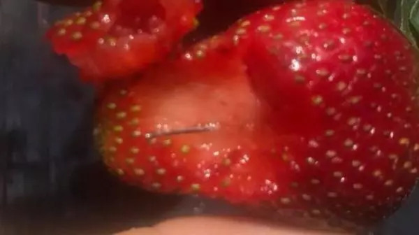 澳大利亚“草莓食品”言语，政府大约有500万凶猛