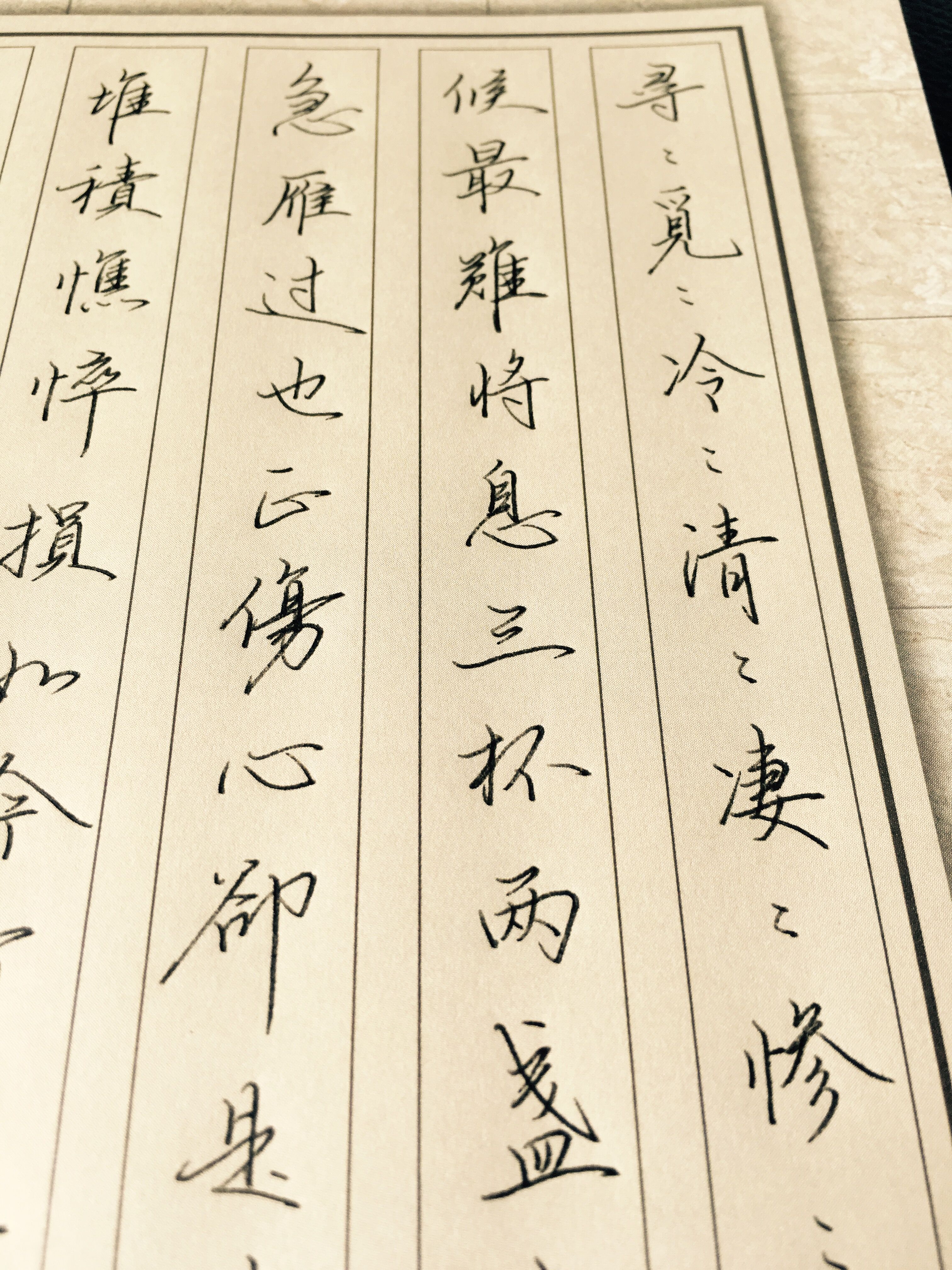 声声慢李清照硬笔书法_李清照声声慢中写凄凉晚年的凄苦