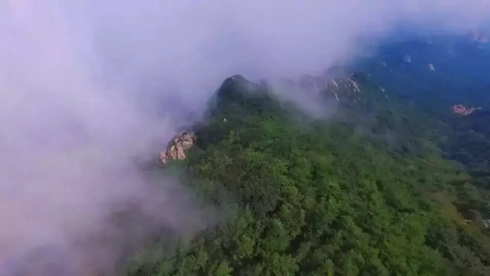 文登的秋天不寂寞!美才刚刚开始……