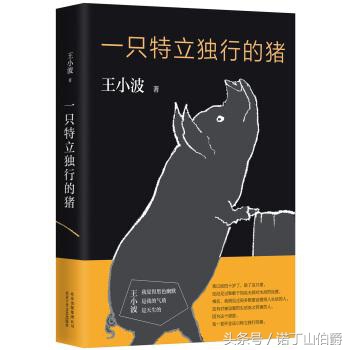 册本最TOP 王小波——《一只特立独行的猪》