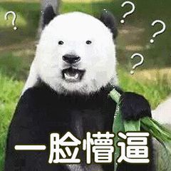 异地恋教程指南｜怎么和双子座异地恋？