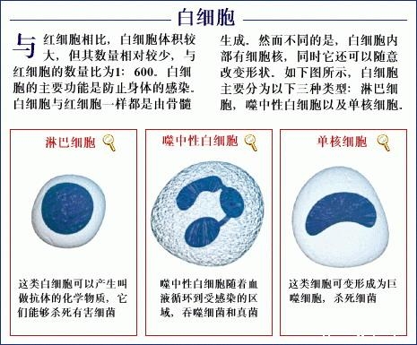 白细胞低是什么原因导致的，有什么症状和危害？应该怎么治疗？