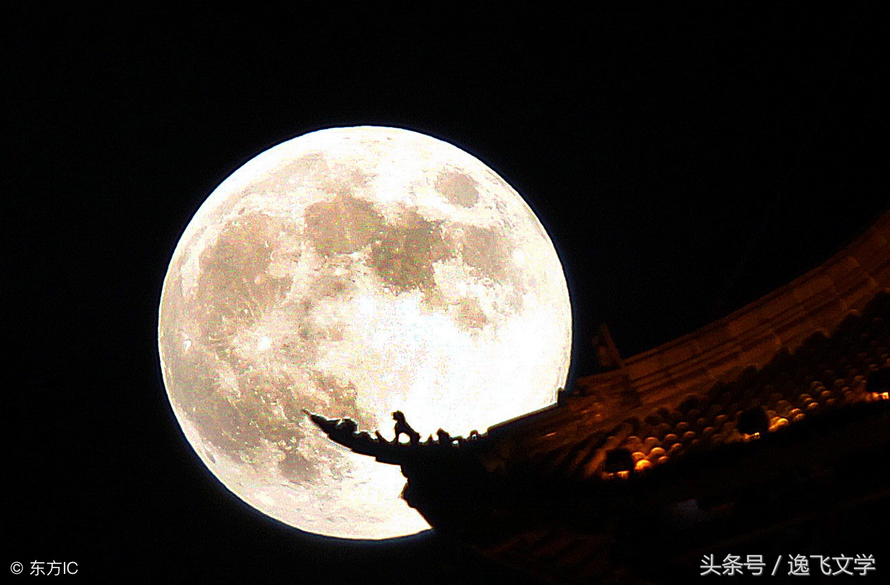 「中秋全民诗会」难忘那个中秋圆月夜