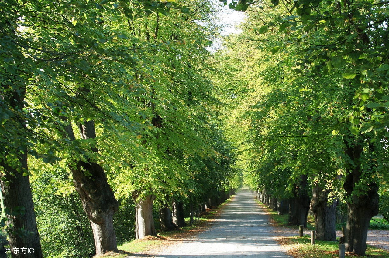 宁波市各区小学学区划分详情：海曙区