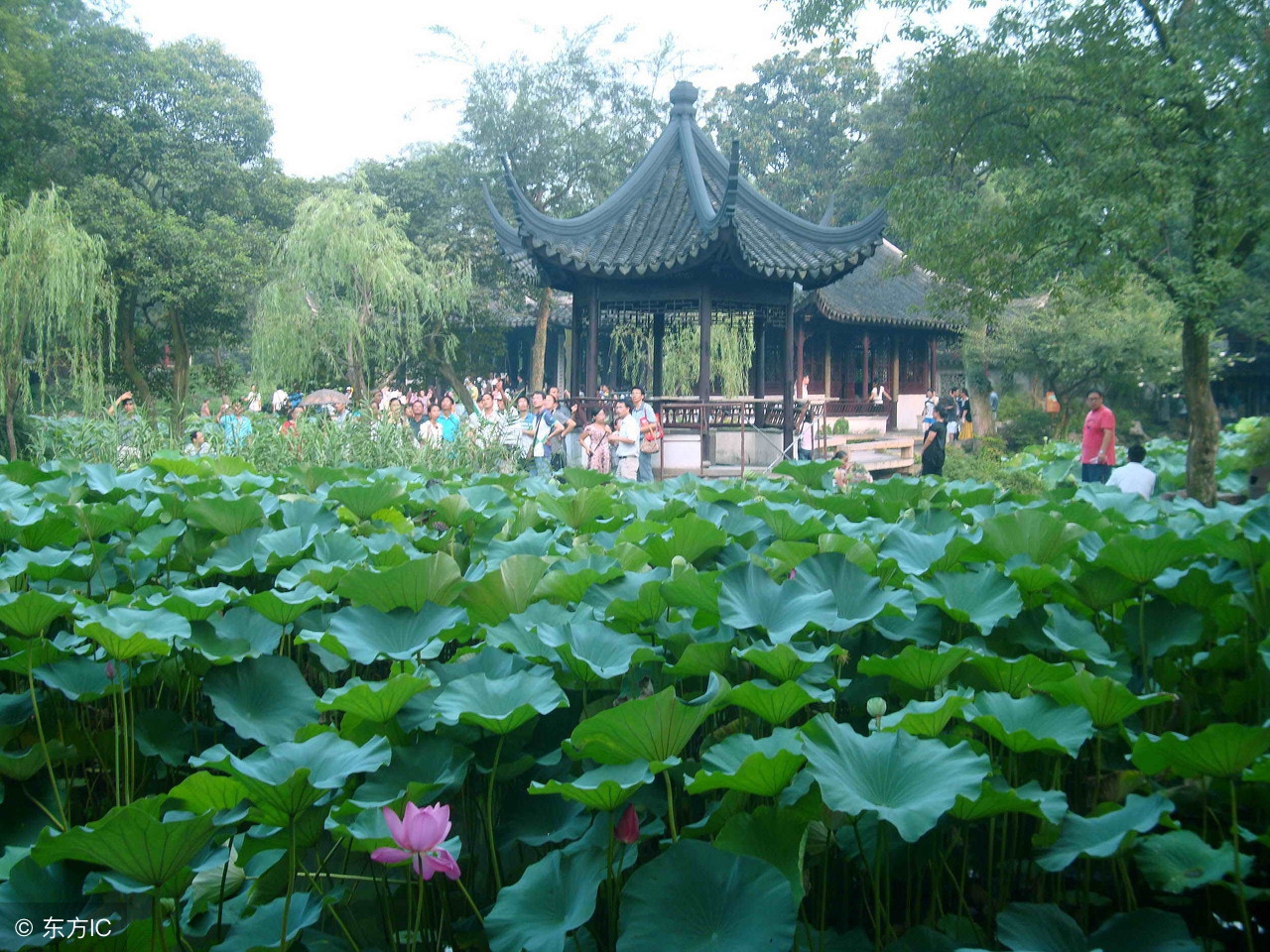 宁波市各区小学学区划分详情：海曙区