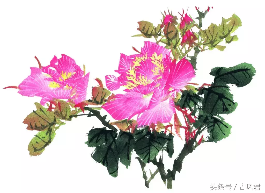 牡丹诗词欣赏：唯有牡丹真国色，花开时节动京城