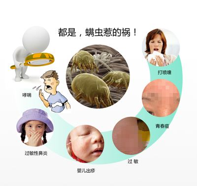 宝宝容易得过敏性鼻炎、皮炎？原来是螨虫在作祟