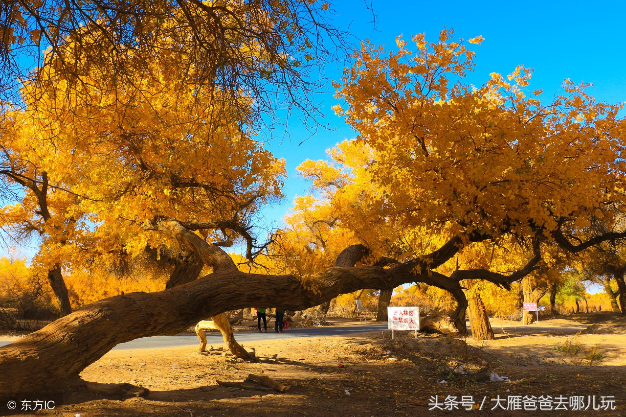 沿途停車,領略g7公路17:00-20:00「遊覽」七星湖景區(住酒店送門票)20