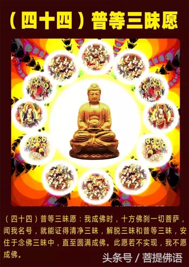 阿弥陀佛四十八愿简述！殊胜图文，过目增福，功德无量！