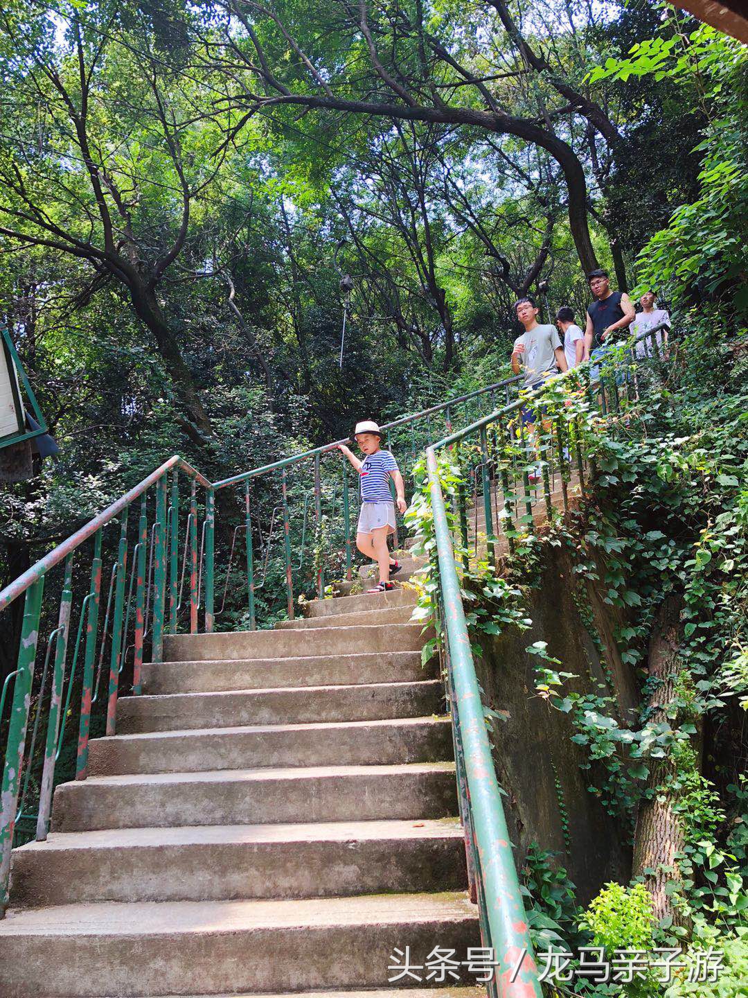 苏州夫妻带俩宝自驾8：长沙岳麓山滑道，体验林间穿梭的风驰电掣