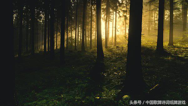 7首极安静的古诗词，感万籁俱寂静寂无声之境