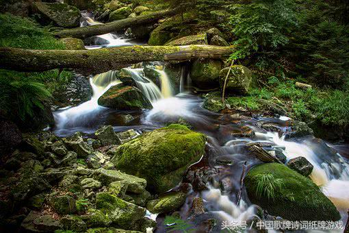7首极安静的古诗词，感万籁俱寂静寂无声之境