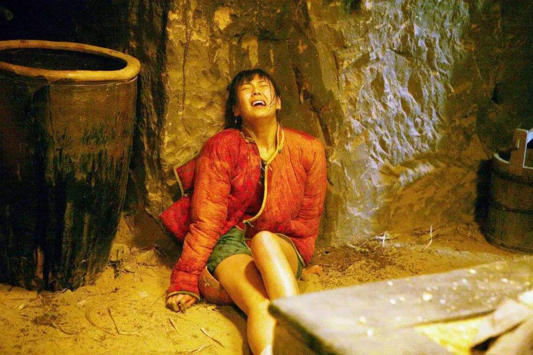 田小娥,是陈忠实先生的作品《白鹿原》中塑造的一个美丽善良,敢爱敢恨