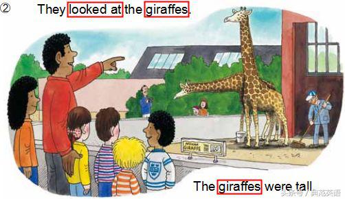 单词都不背，高考状元英语为什么能得148分？