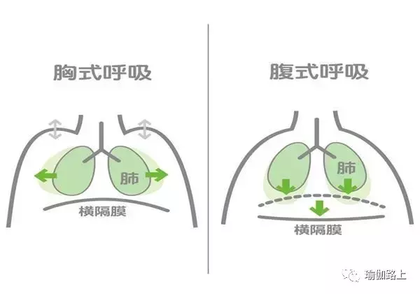 練習瑜伽這樣呼吸就對了（收藏級）