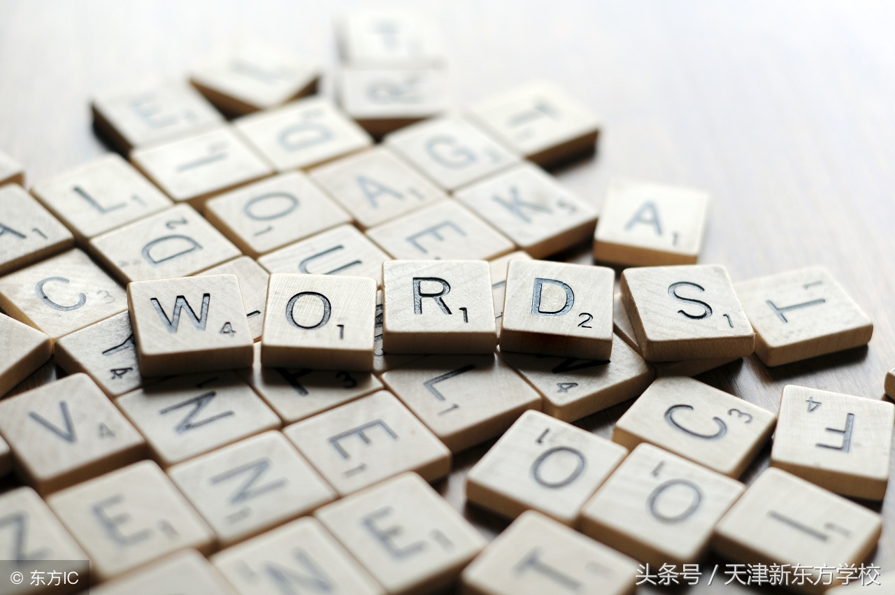 描写学校的作文300字（初中三年都适用）