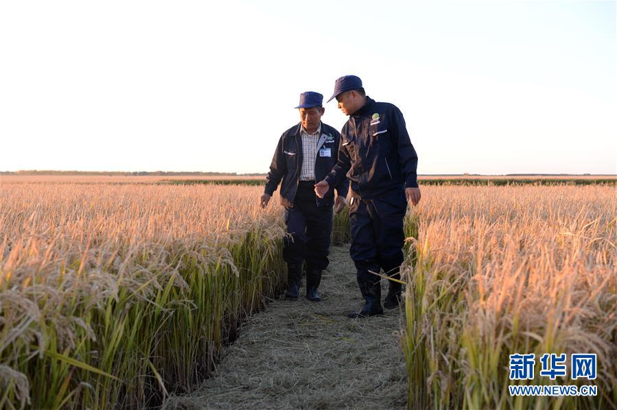 习近平总书记调研东北三省并主持召开深入推进东北振兴座谈会纪实