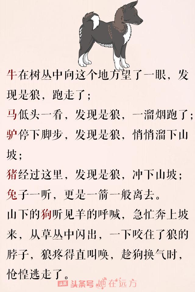 狼要吃羊(故事很短,精辟)