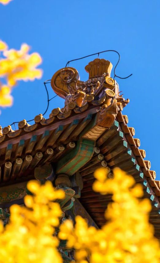 好词好句好段故宫汇总100句