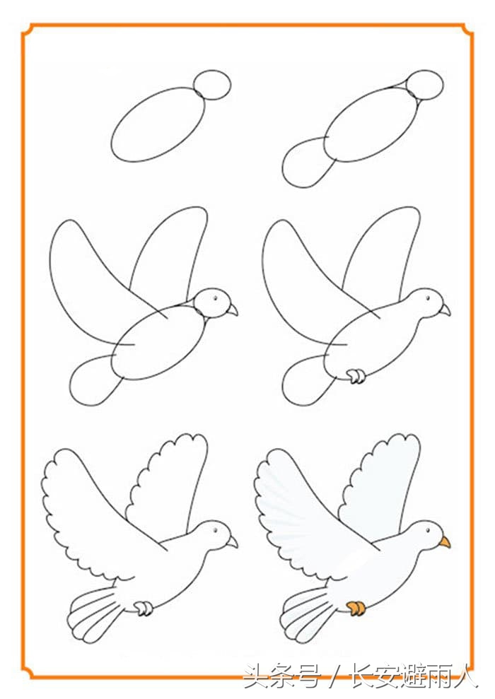 和平鸽的画法(国庆节手抄报丨和平鸽怎么画?
