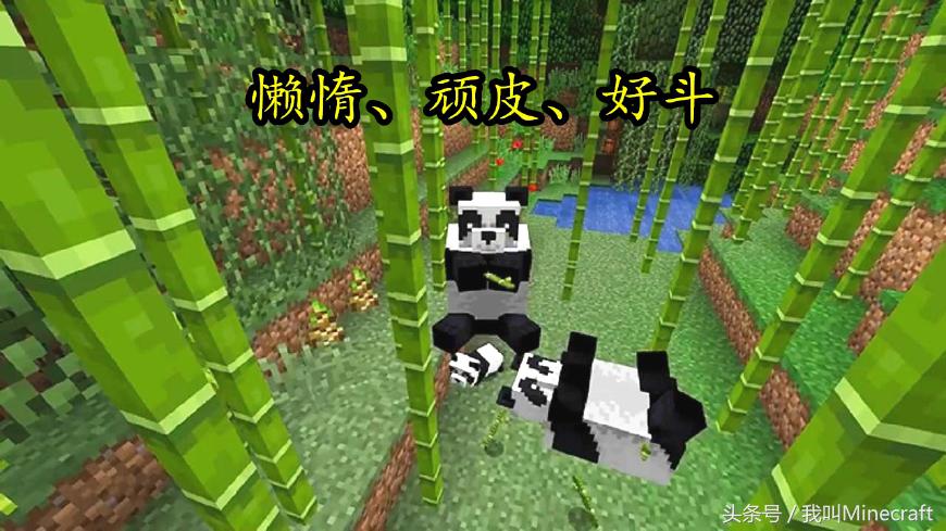 我的世界：新版MC熊猫怎样驯服？8大特性不负众望！竹子还会远么
