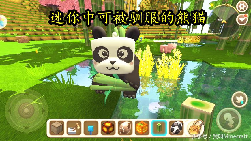 我的世界：新版MC熊猫怎样驯服？8大特性不负众望！竹子还会远么