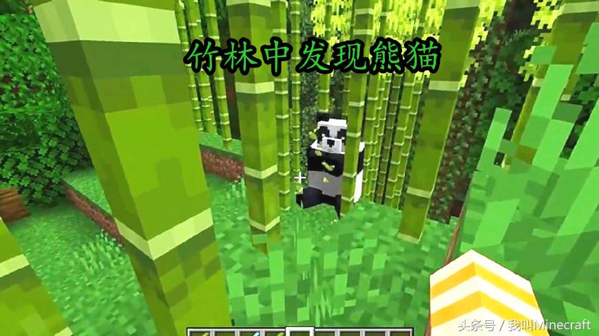 我的世界：新版MC熊猫怎样驯服？8大特性不负众望！竹子还会远么