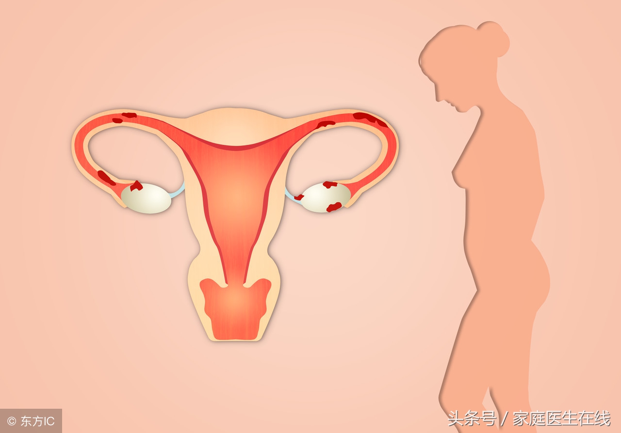 肚子涨痛怎么办(小腹时不时就胀痛) - seo葵花宝典