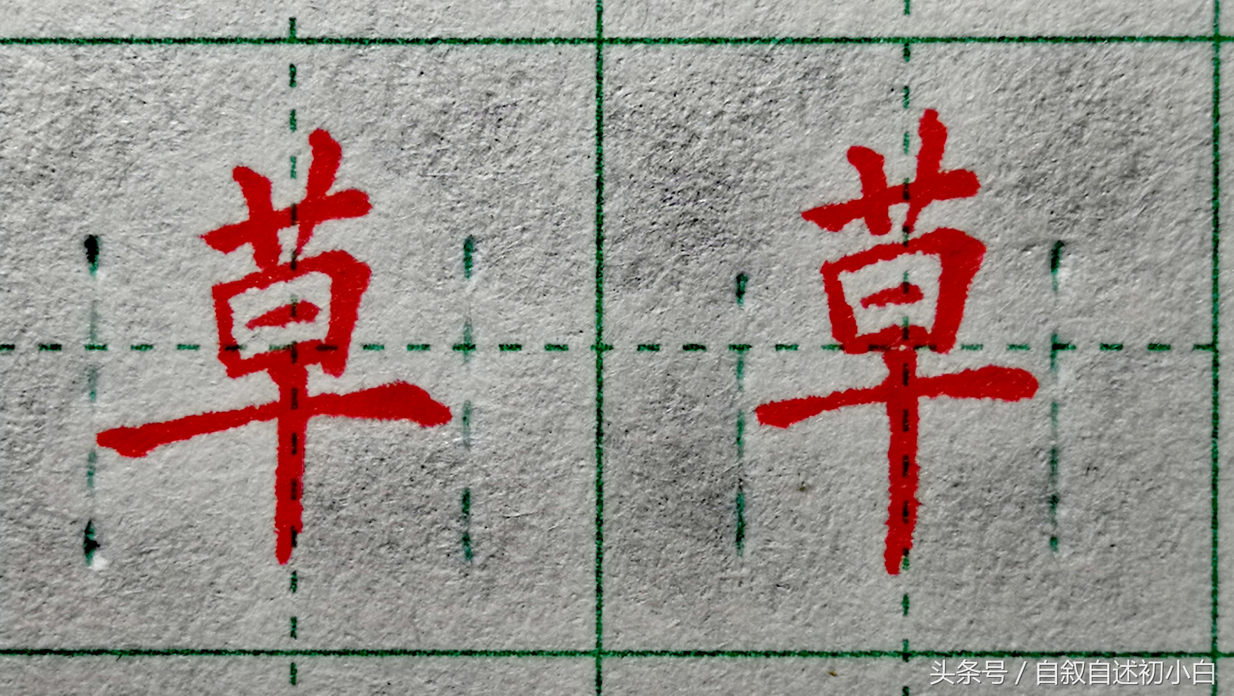 草字头一个齐(教你草字头的规范书写示例)