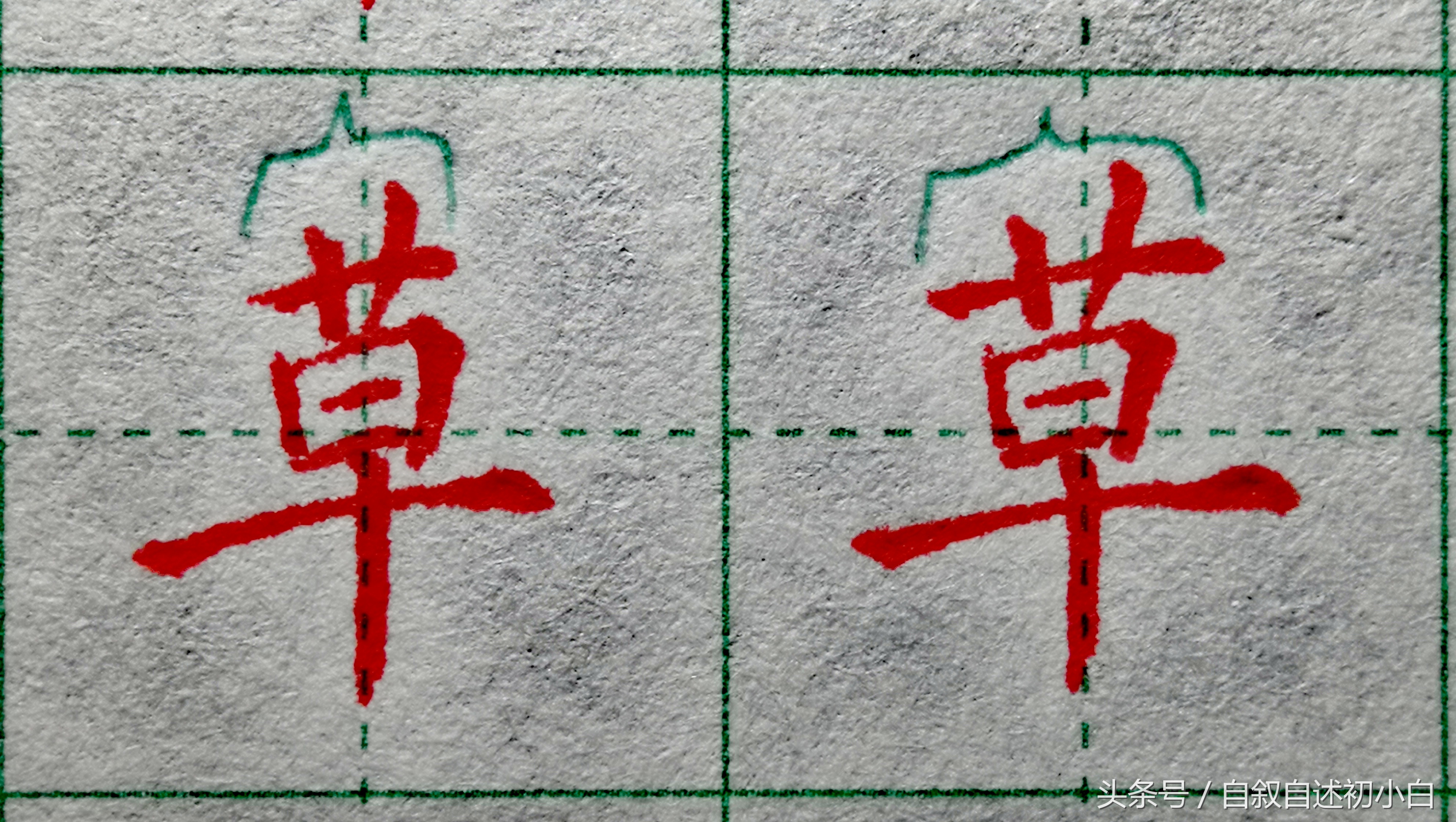 草字头一个齐(教你草字头的规范书写示例)