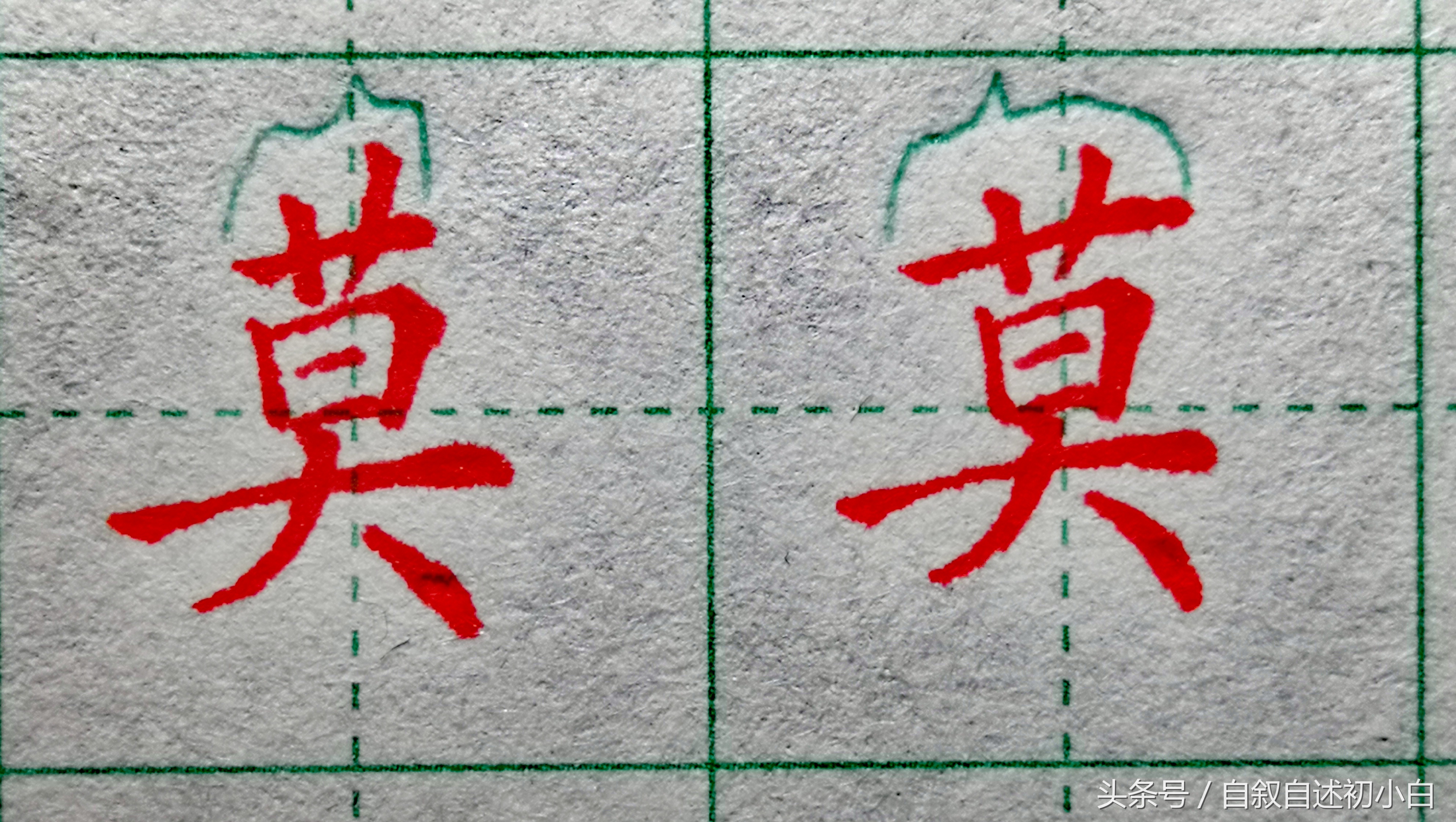 草字头一个齐(教你草字头的规范书写示例)