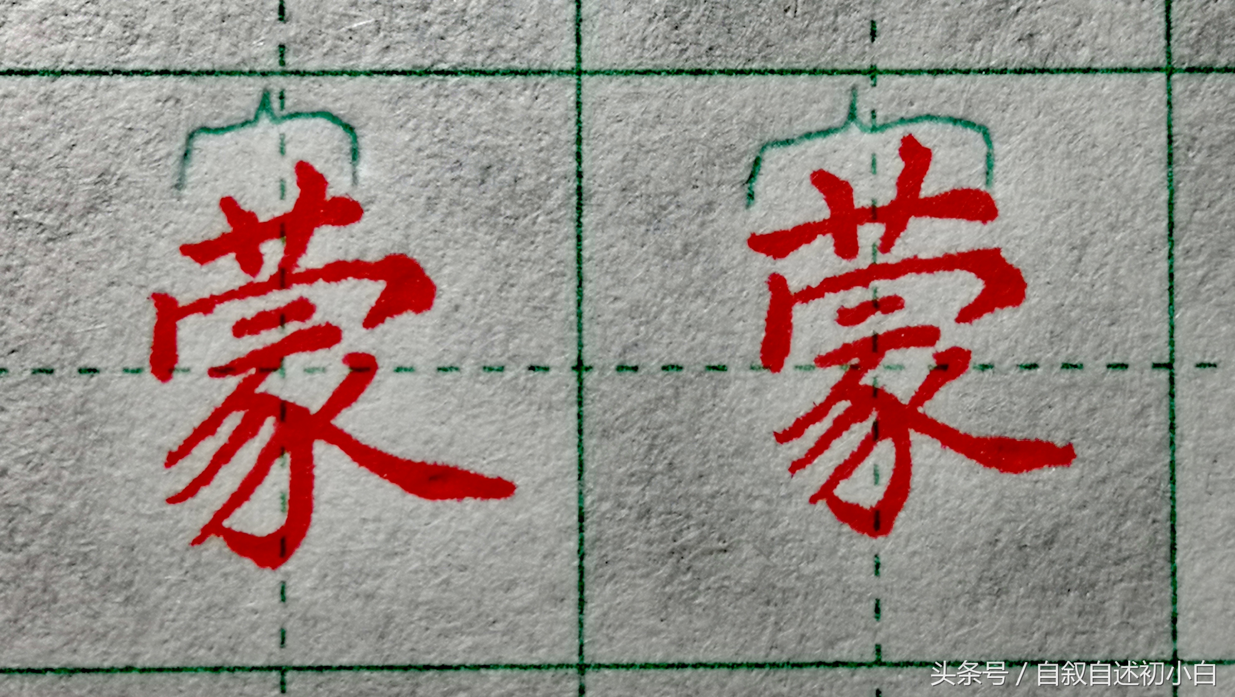 草字头一个齐(教你草字头的规范书写示例)