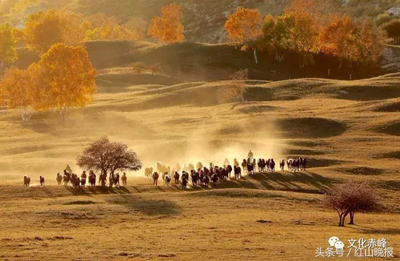 国庆旅游对“人挤人”说NO!来赤峰,才是真的赏风景!