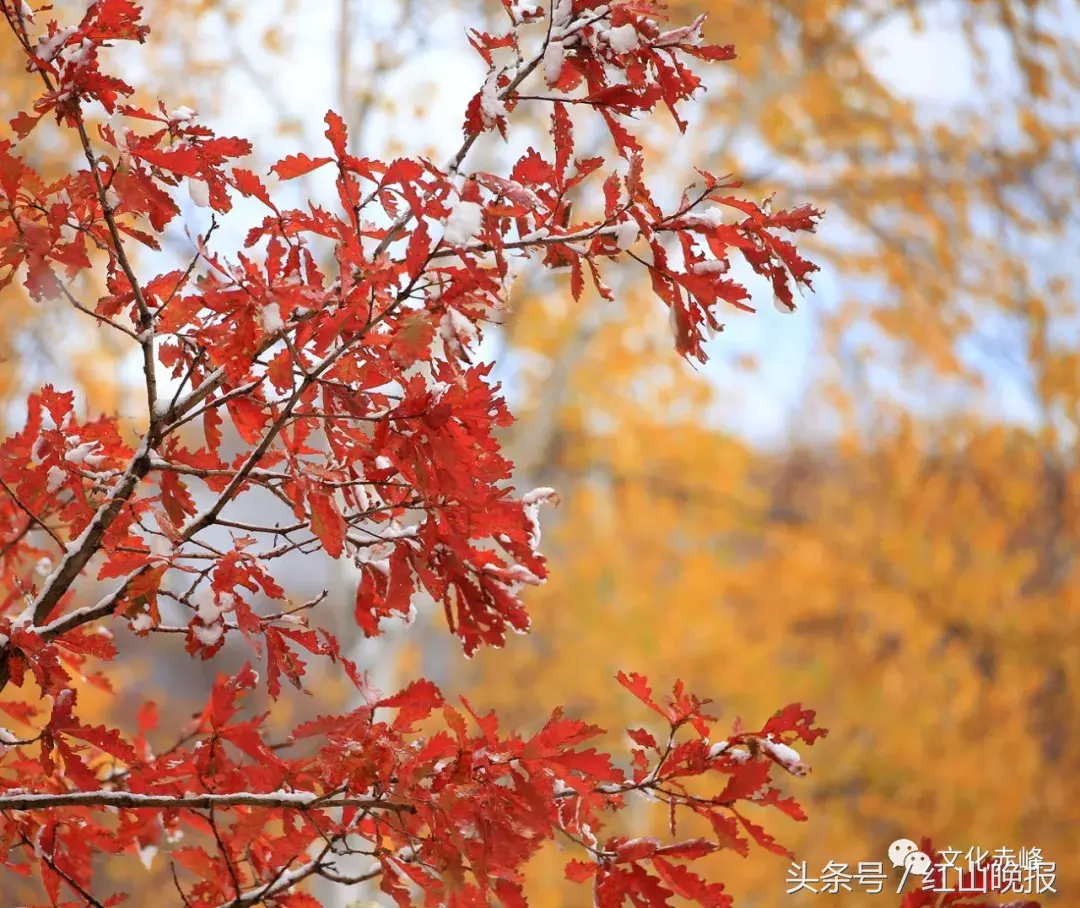 国庆旅游对“人挤人”说NO!来赤峰,才是真的赏风景!