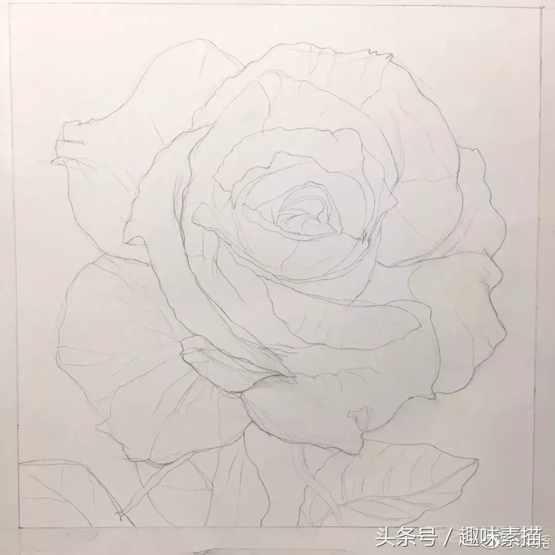 素描教程｜赠人玫瑰手有余香