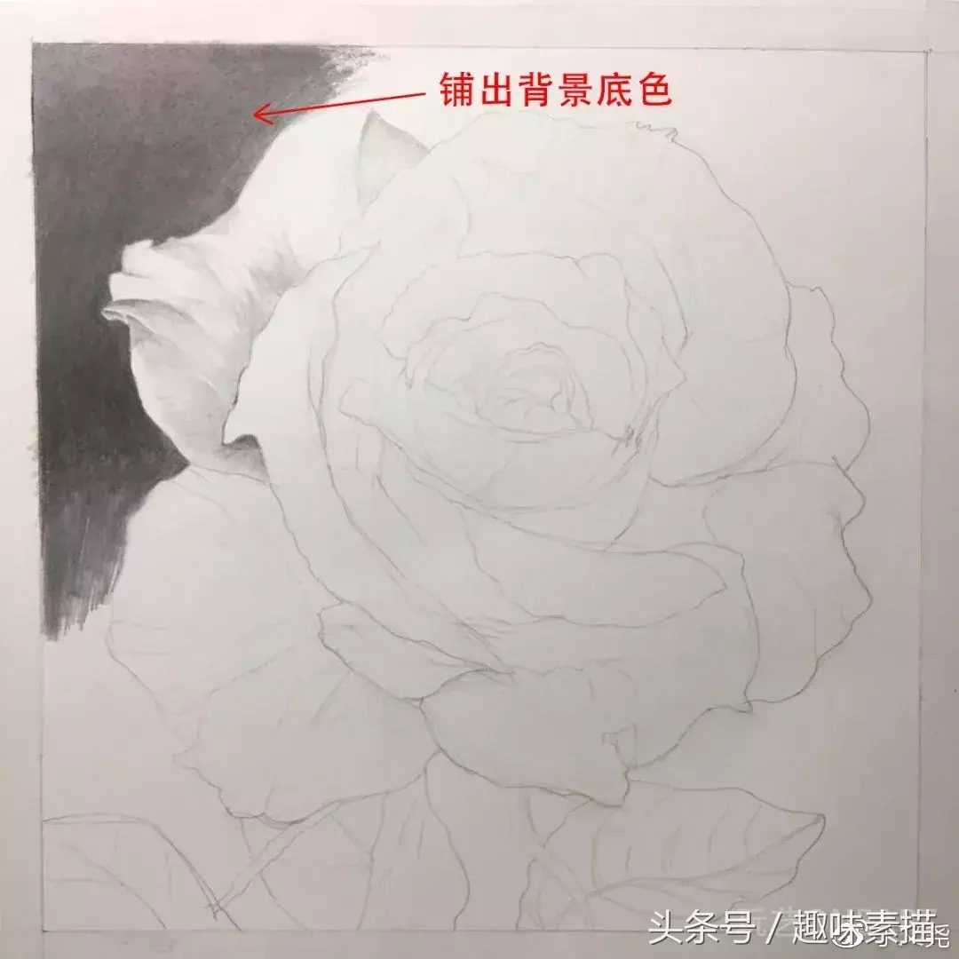 素描教程｜赠人玫瑰手有余香