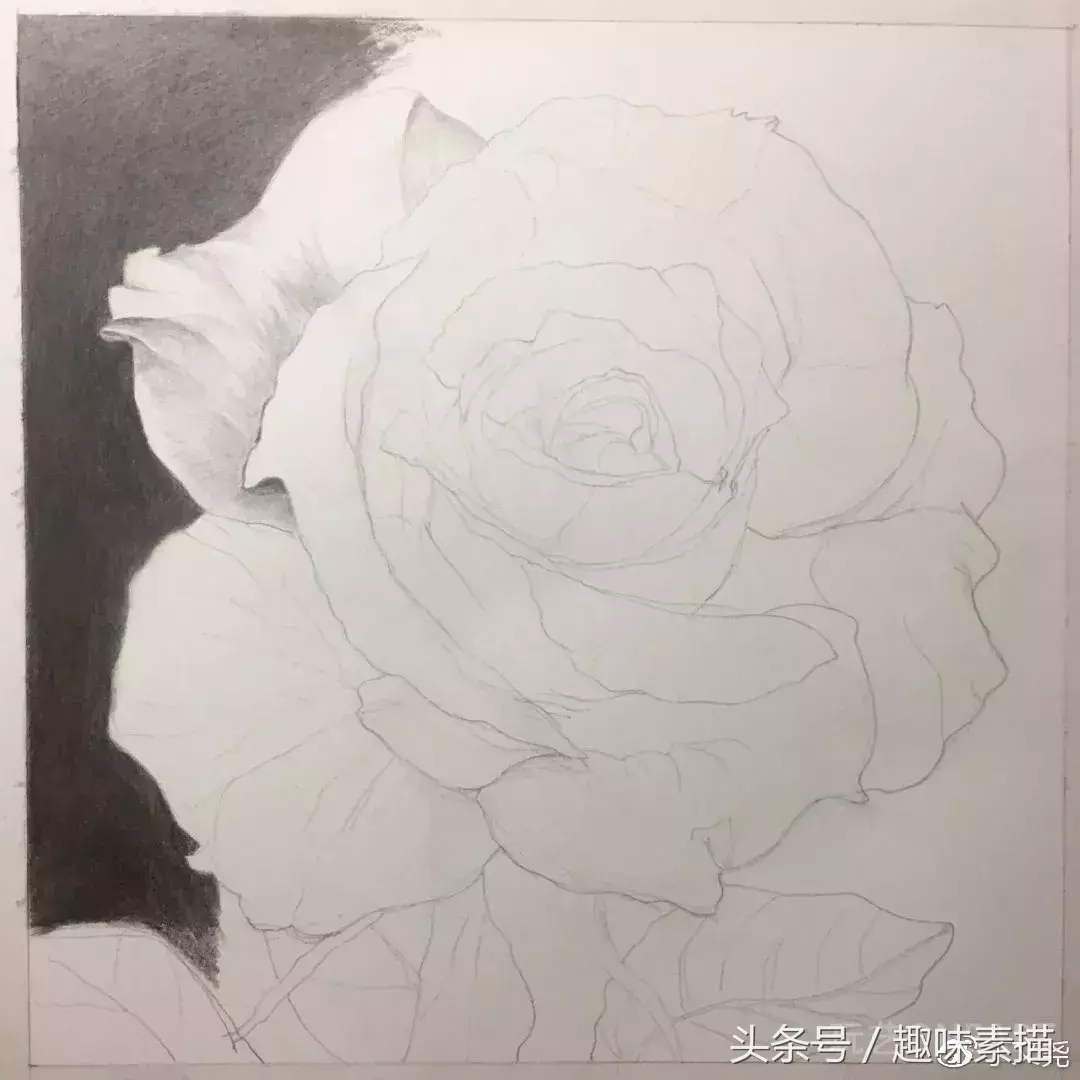 素描教程｜赠人玫瑰手有余香