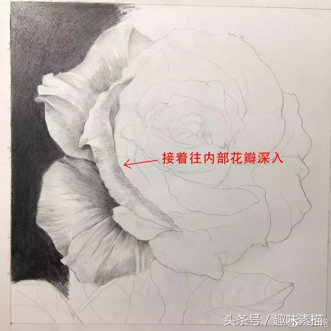 素描教程｜赠人玫瑰手有余香