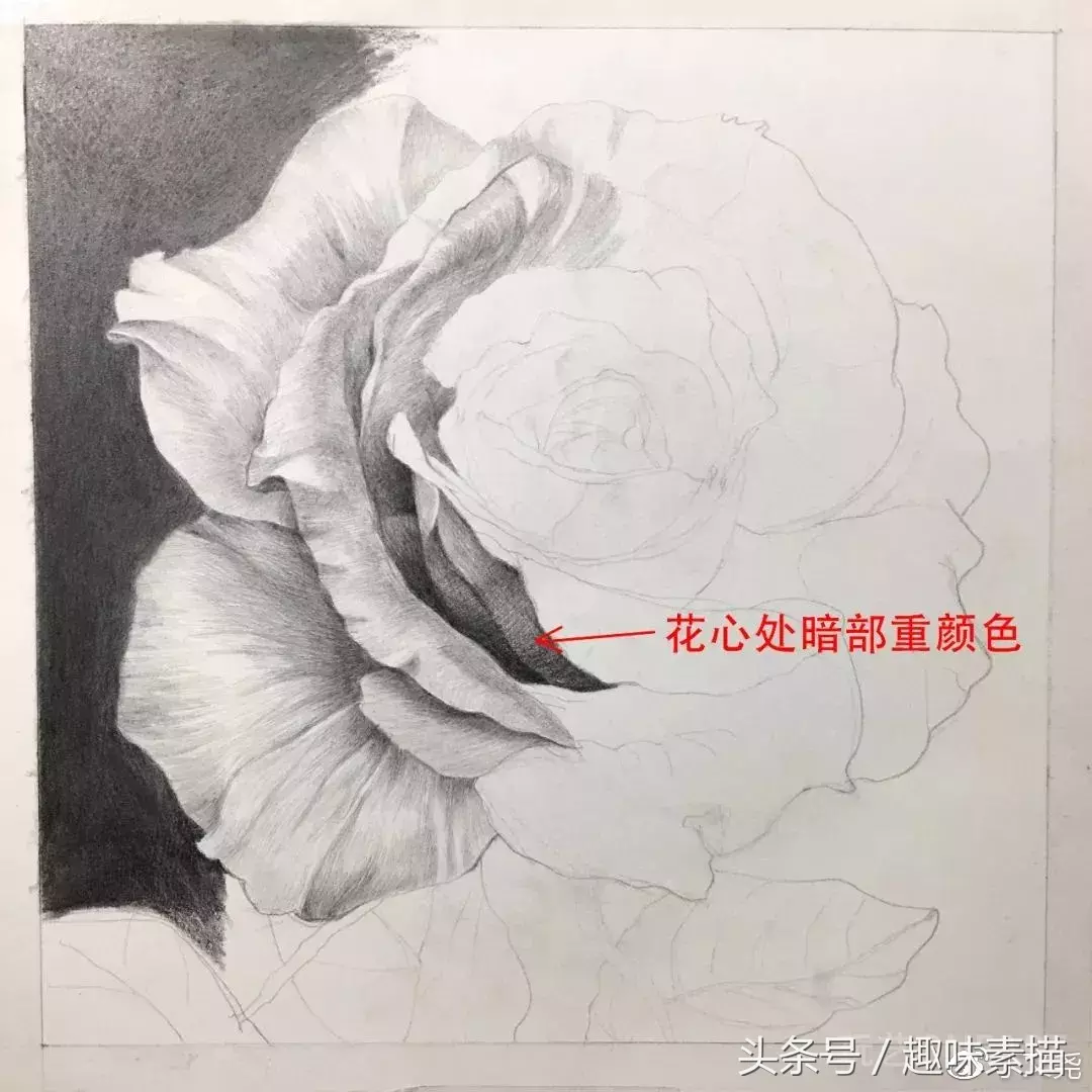 素描教程｜赠人玫瑰手有余香