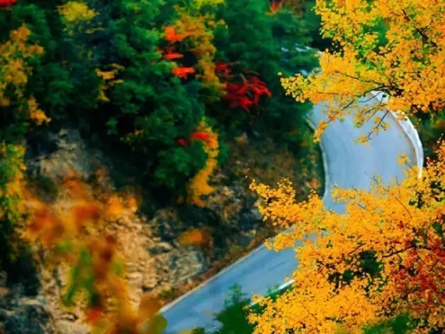秦岭这条自驾游省道，深秋一定要去一次，美得一塌糊涂！