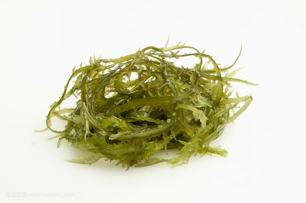 海藻是什么生物（一文详解中药材海藻的作用）