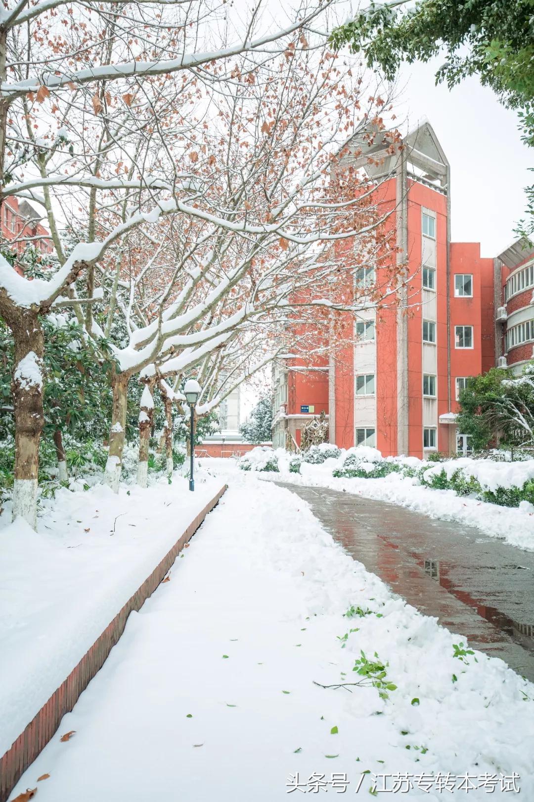 江苏专转本：三江学院