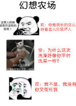 晋江文学城完结作品金榜前十排名榜单