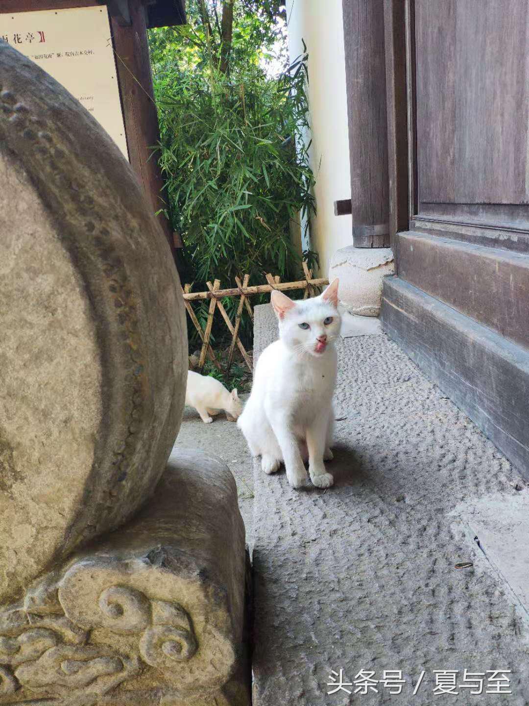 灵隐寺：“一念放下，万般自在”