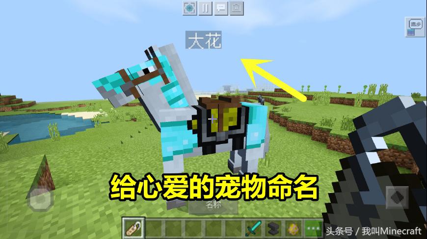 我的世界:命名牌5大独特用法,还有4个彩蛋!彩色名字你会做么?