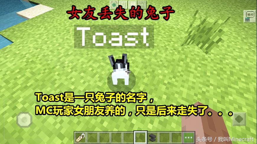 我的世界:命名牌5大独特用法,还有4个彩蛋!彩色名字你会做么?