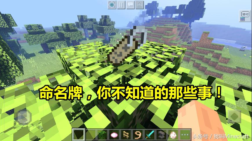 我的世界:命名牌5大独特用法,还有4个彩蛋!彩色名字你会做么?