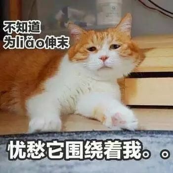 临沂这6人最富！他们登上了2018胡润百富榜！你比富豪差多少？